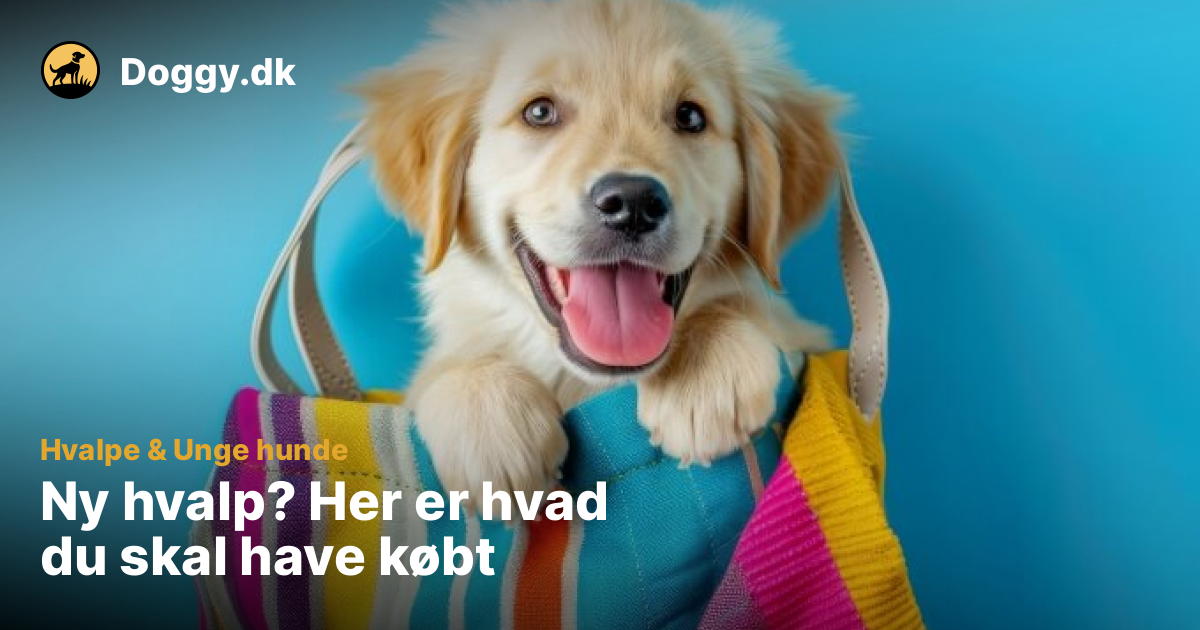 Visual Reference: Ny Hvalp Her Er Hvad Du Skal Have Købt