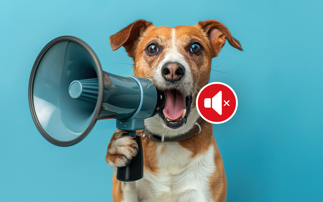 Sådan får du din hund til at holde op med at gø